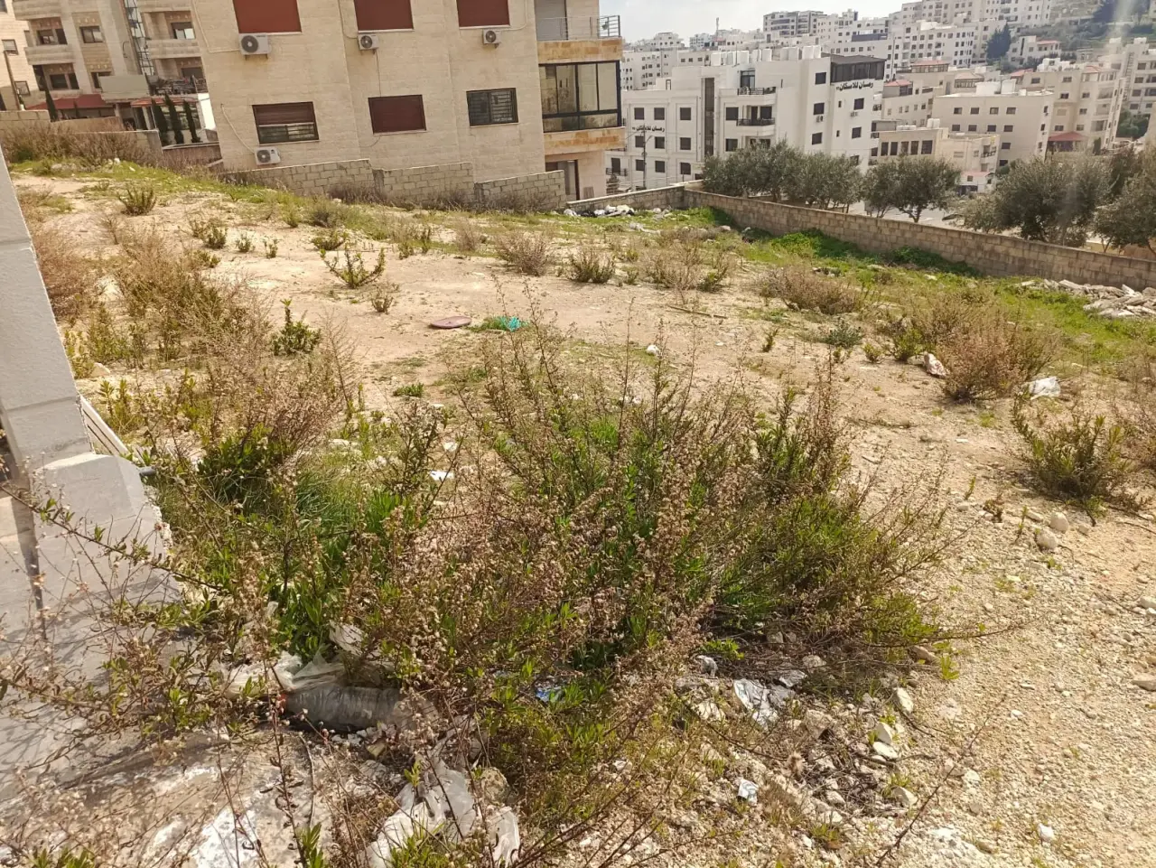 Land for sale in Al Bnayyat – photo 4