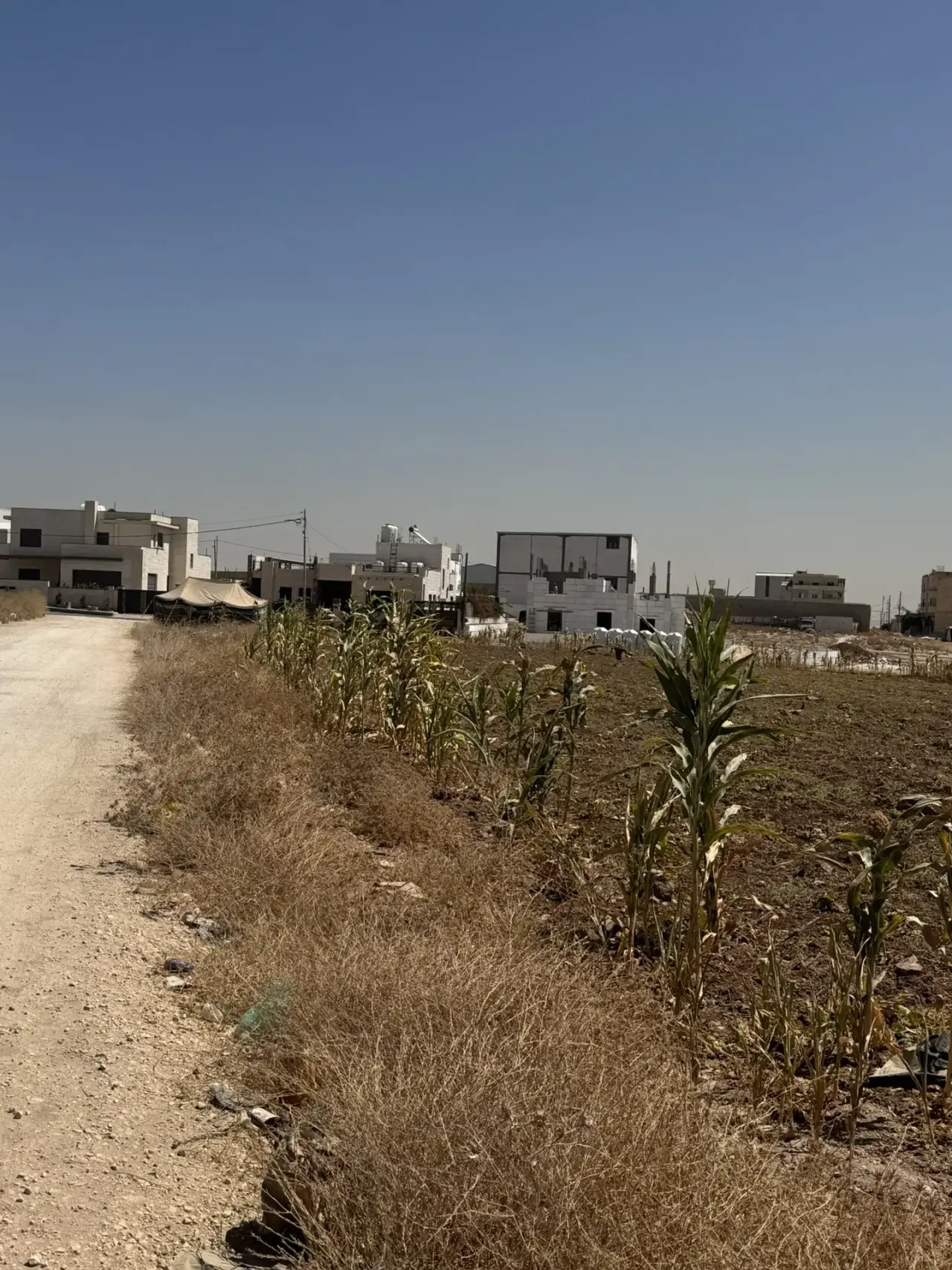 Land for sale in Al Jwaydeh – photo 2