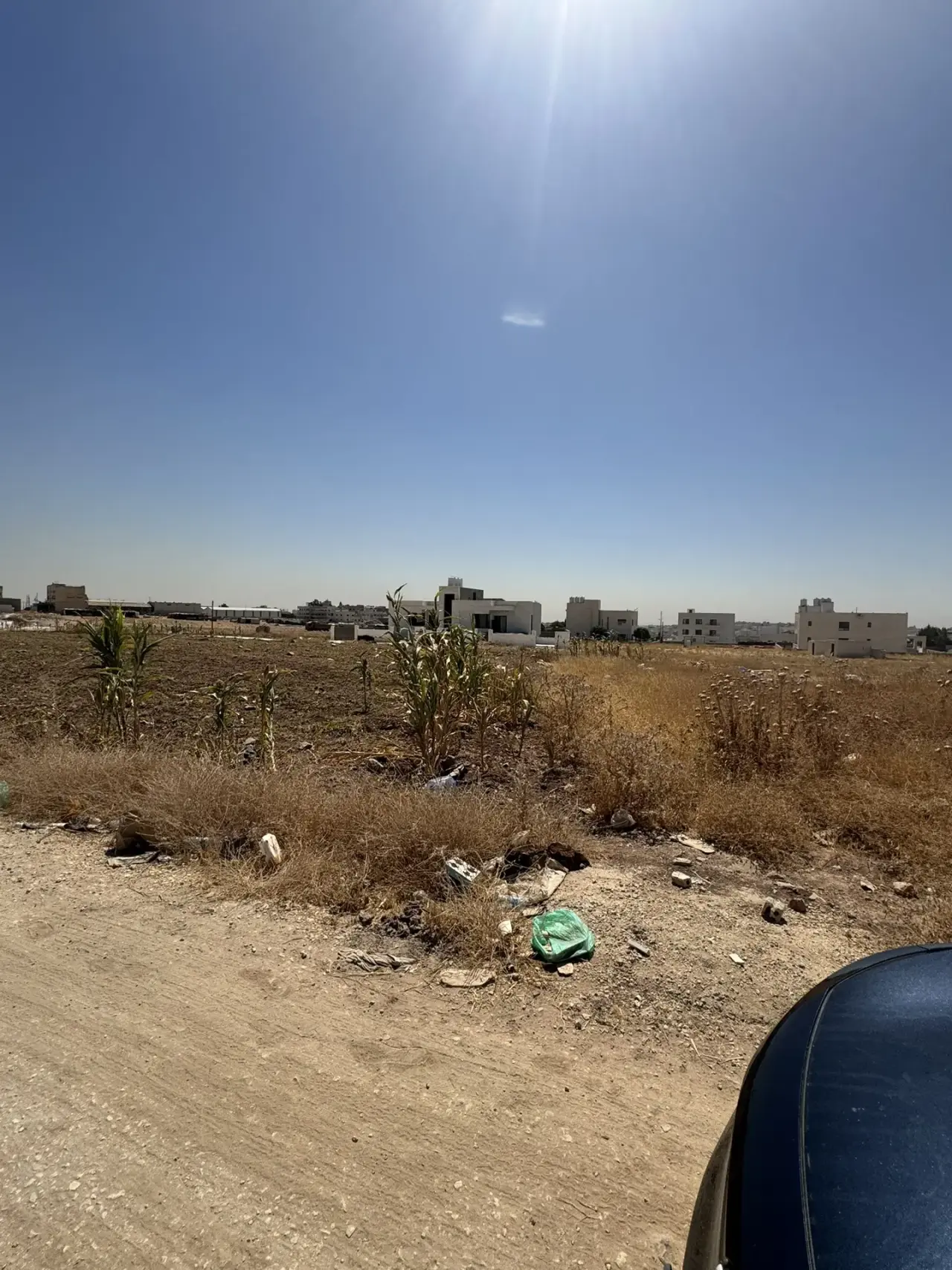 Land for sale in Al Jwaydeh – photo 6