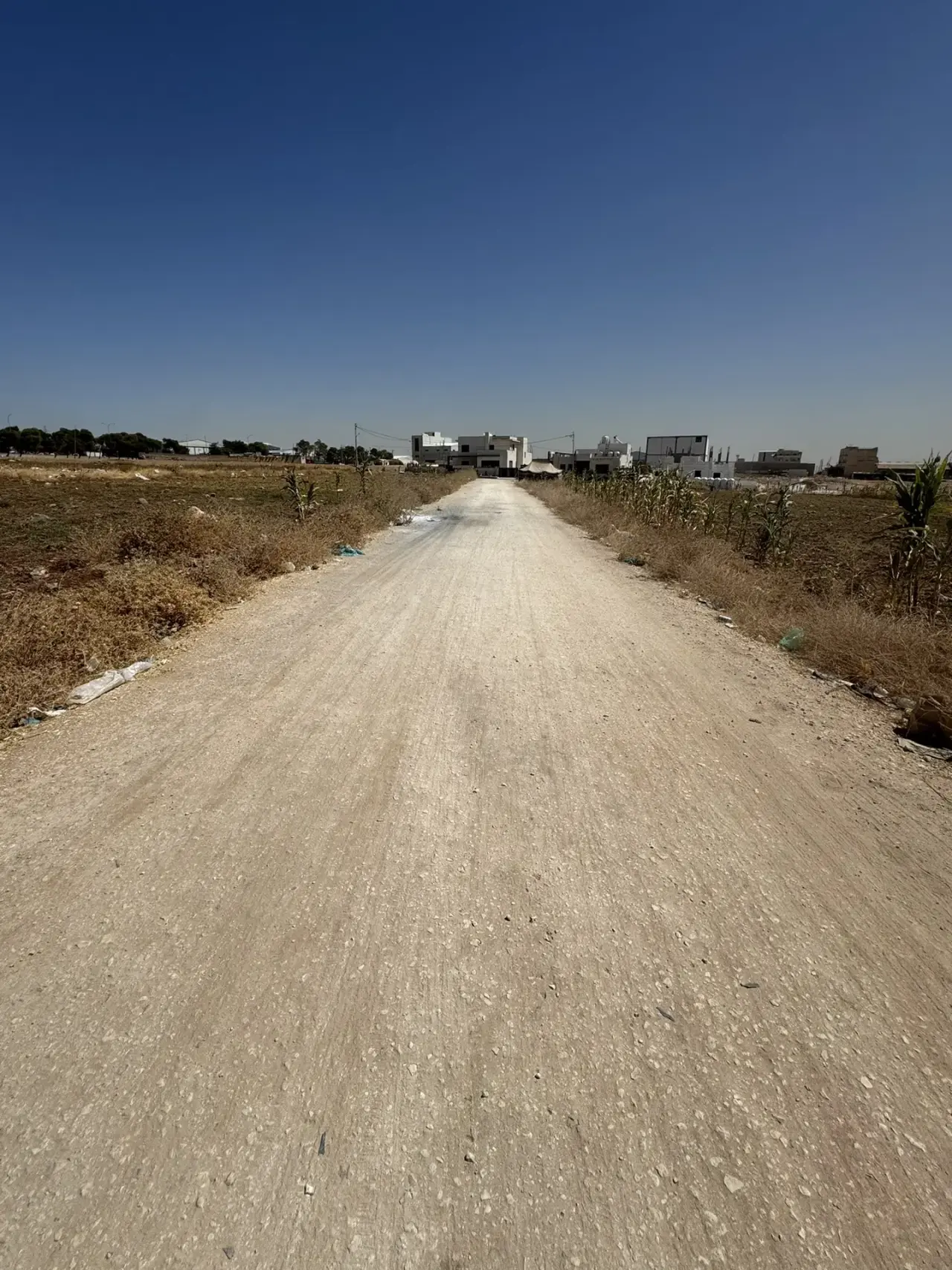 Land for sale in Al Jwaydeh – photo 4