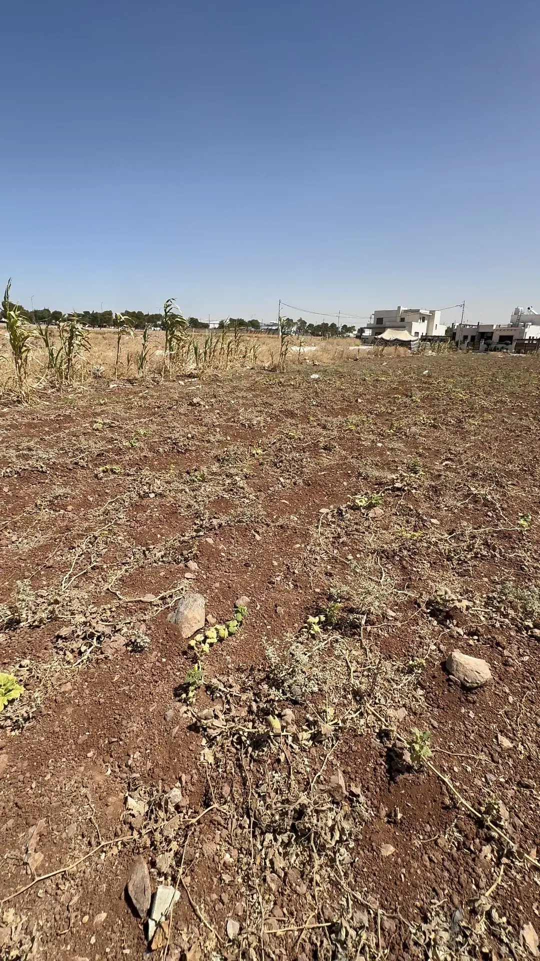 Land for sale in Al Jwaydeh – photo 8