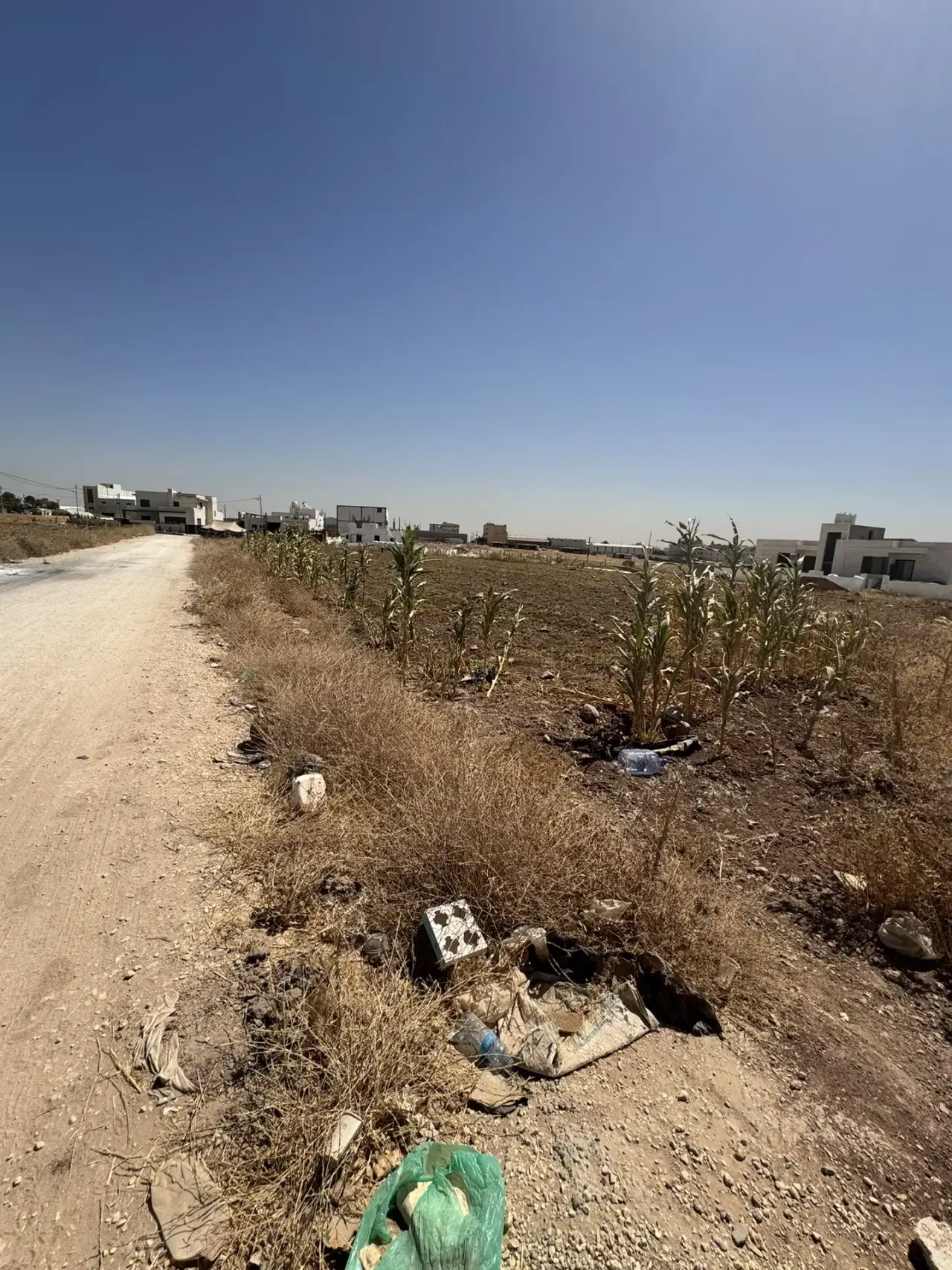 Land for sale in Al Jwaydeh – photo 9