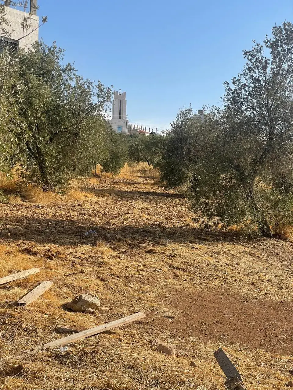 أرض للبيع في ابو نصير – صورة 8