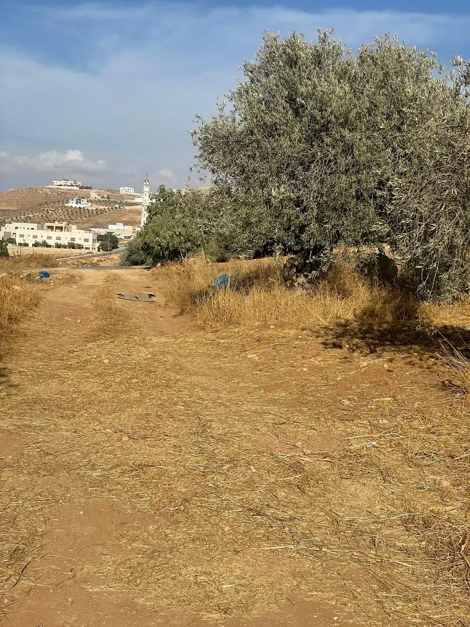 أرض للبيع في ابو نصير – صورة 7