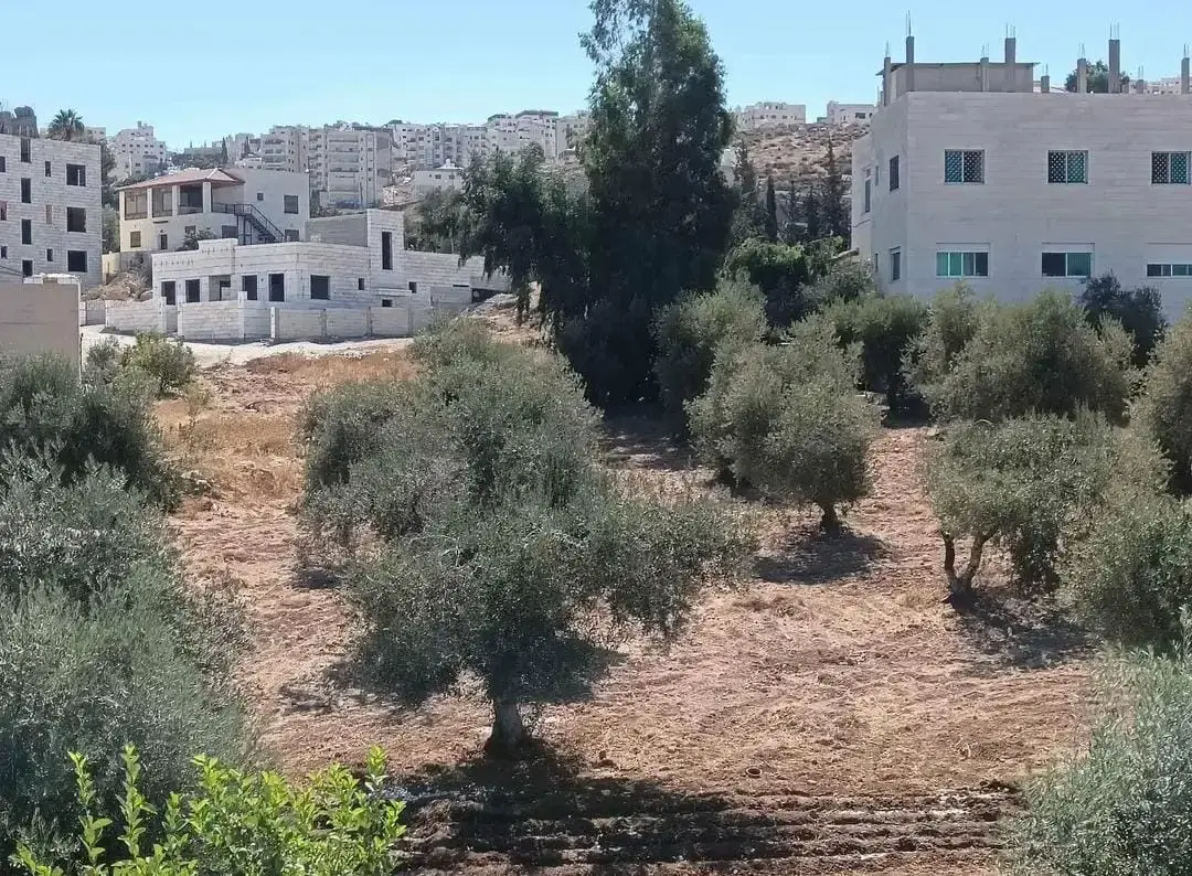أرض للبيع في ابو نصير – صورة 9