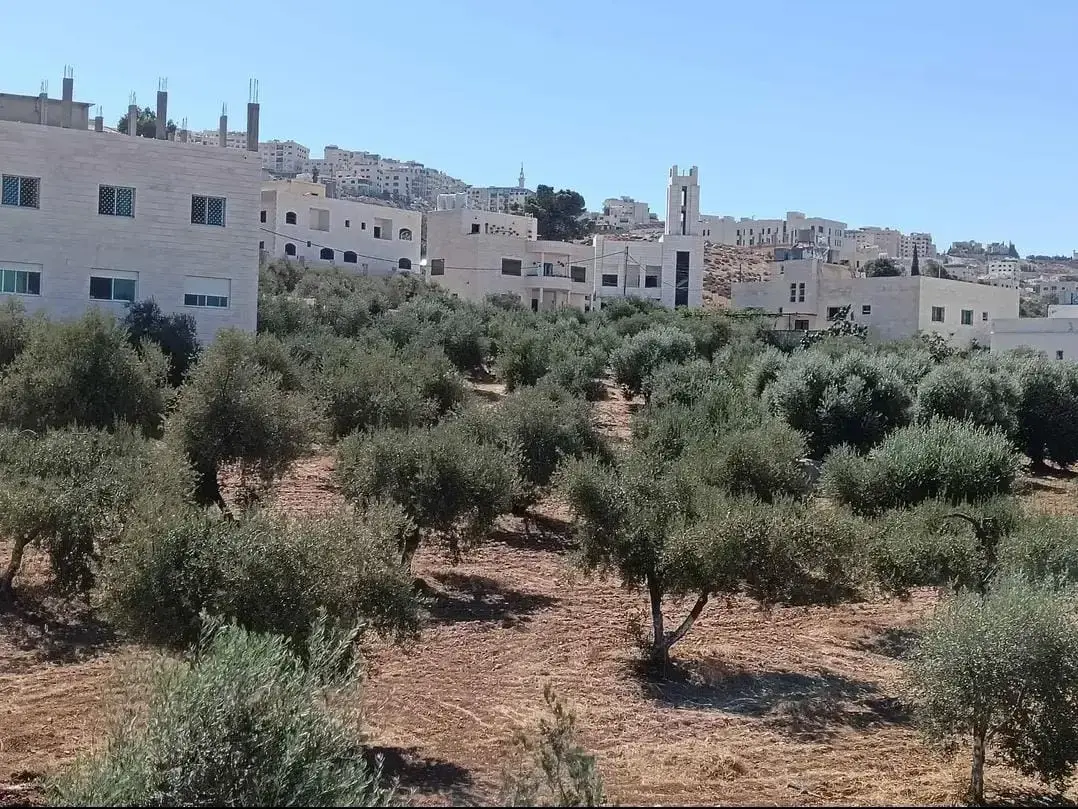 أرض للبيع في ابو نصير – صورة 12