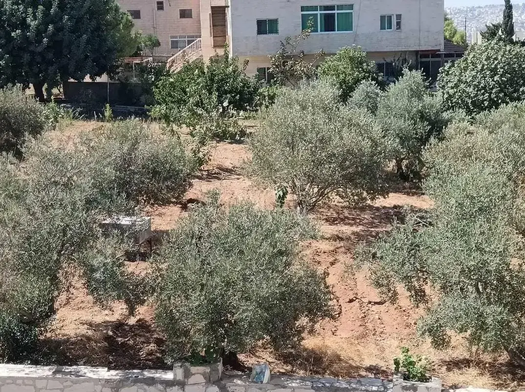 أرض للبيع في ابو نصير – صورة 11