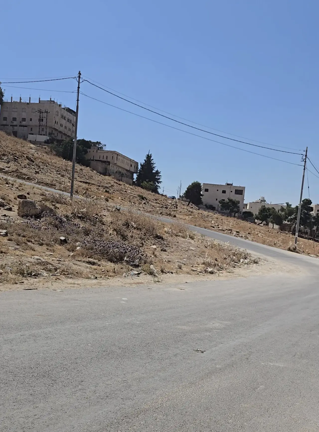 Land for sale in Abu Alanda – photo 3