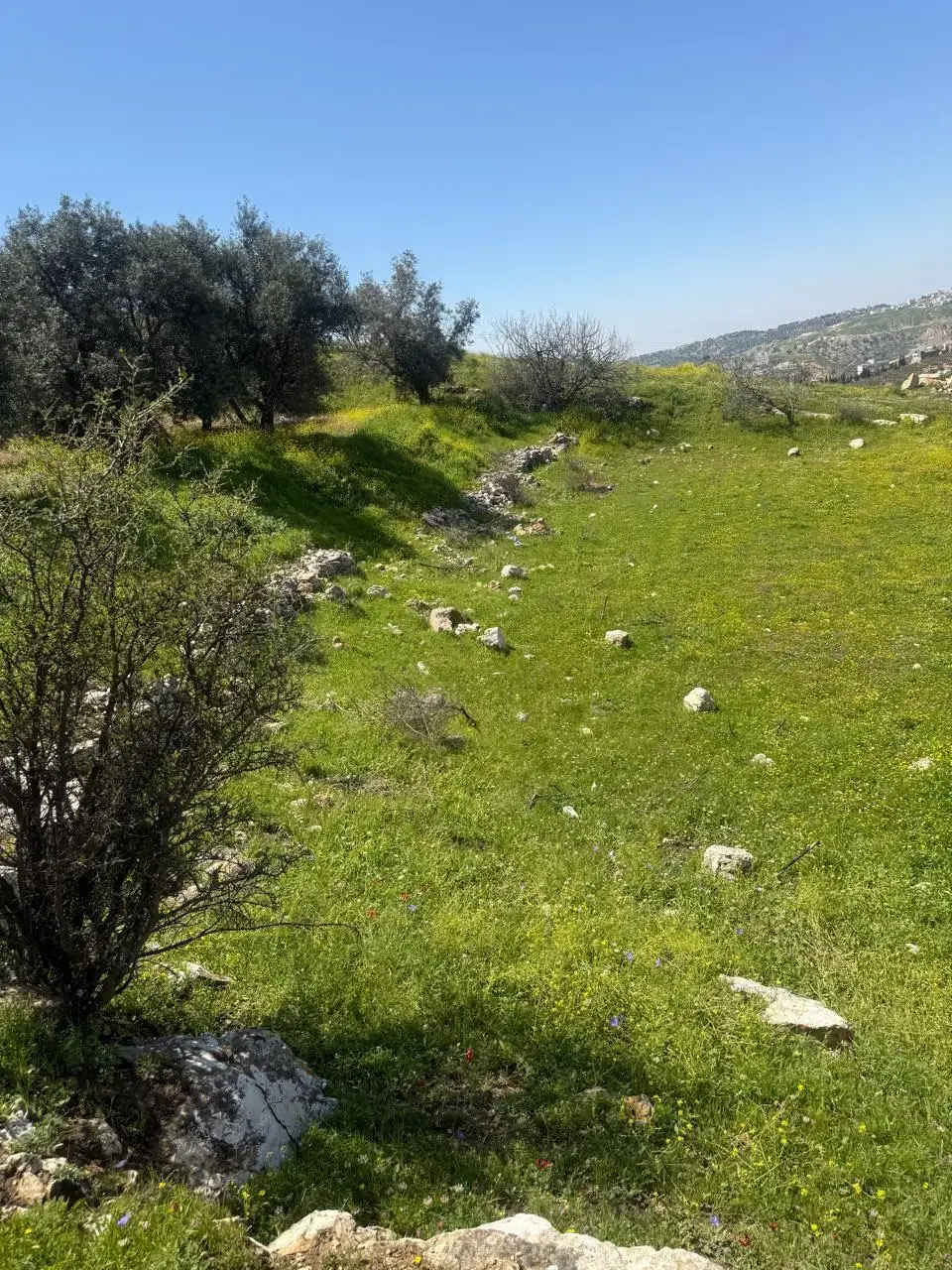 Land for sale in Marj Al Hamam – photo 4