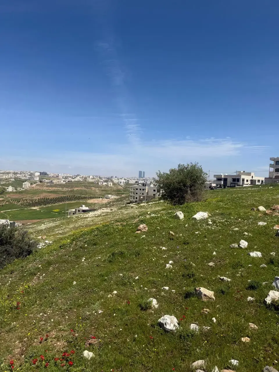 Land for sale in Marj Al Hamam – photo 2