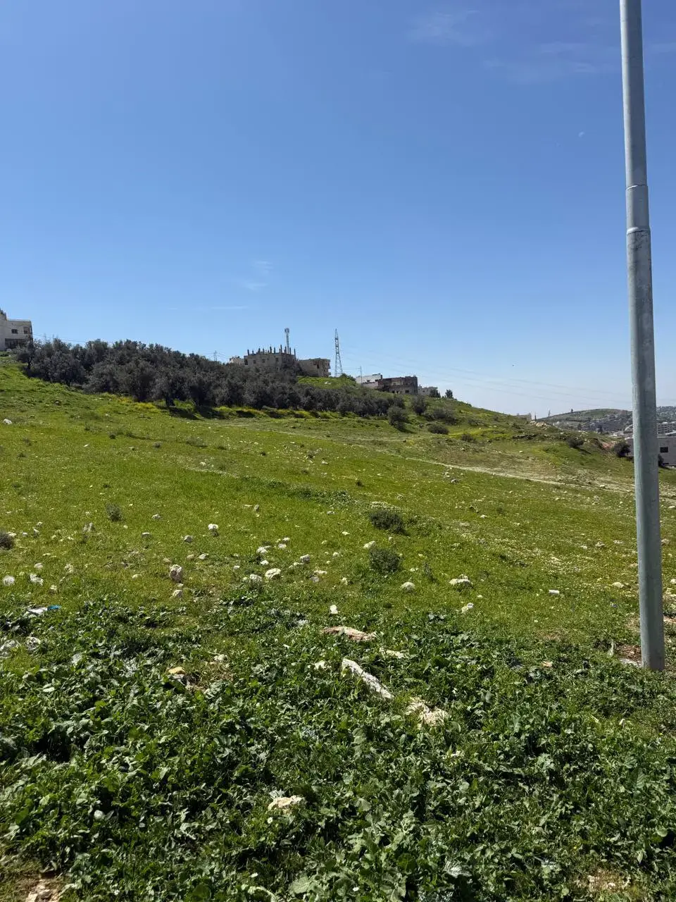Land for sale in Marj Al Hamam – photo 3