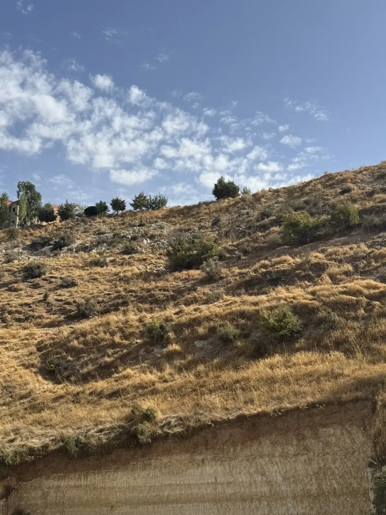 Land for sale in Wadi Al Seer – photo 3