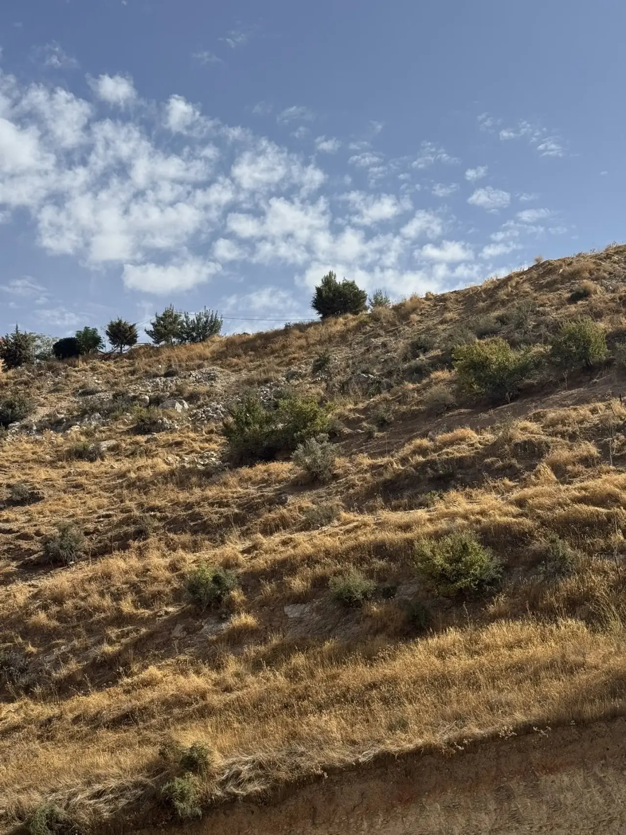 Land for sale in Wadi Al Seer – photo 2