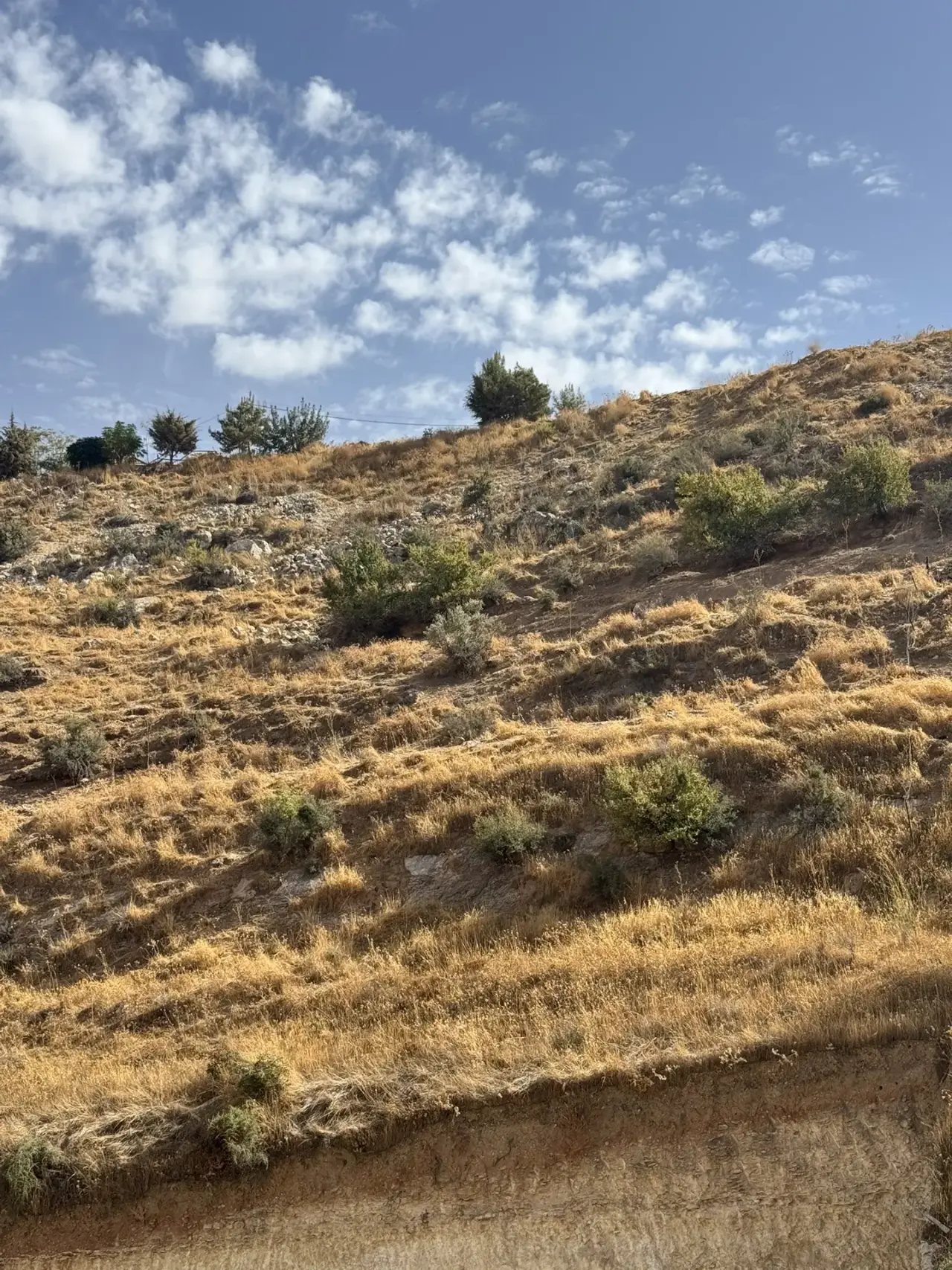 Owner selling a 1,200 m² hillside plot in Wadi Al Seer