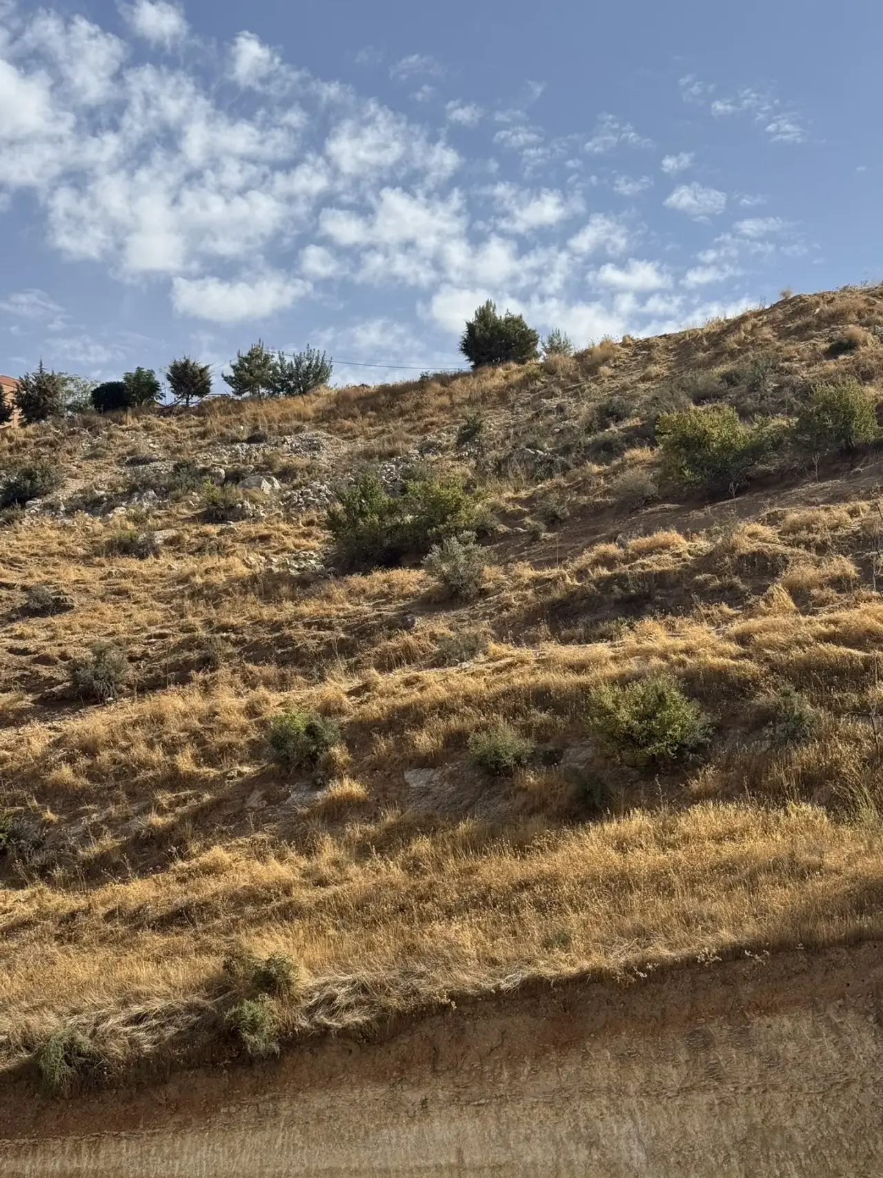 Land for sale in Wadi Al Seer – photo 4
