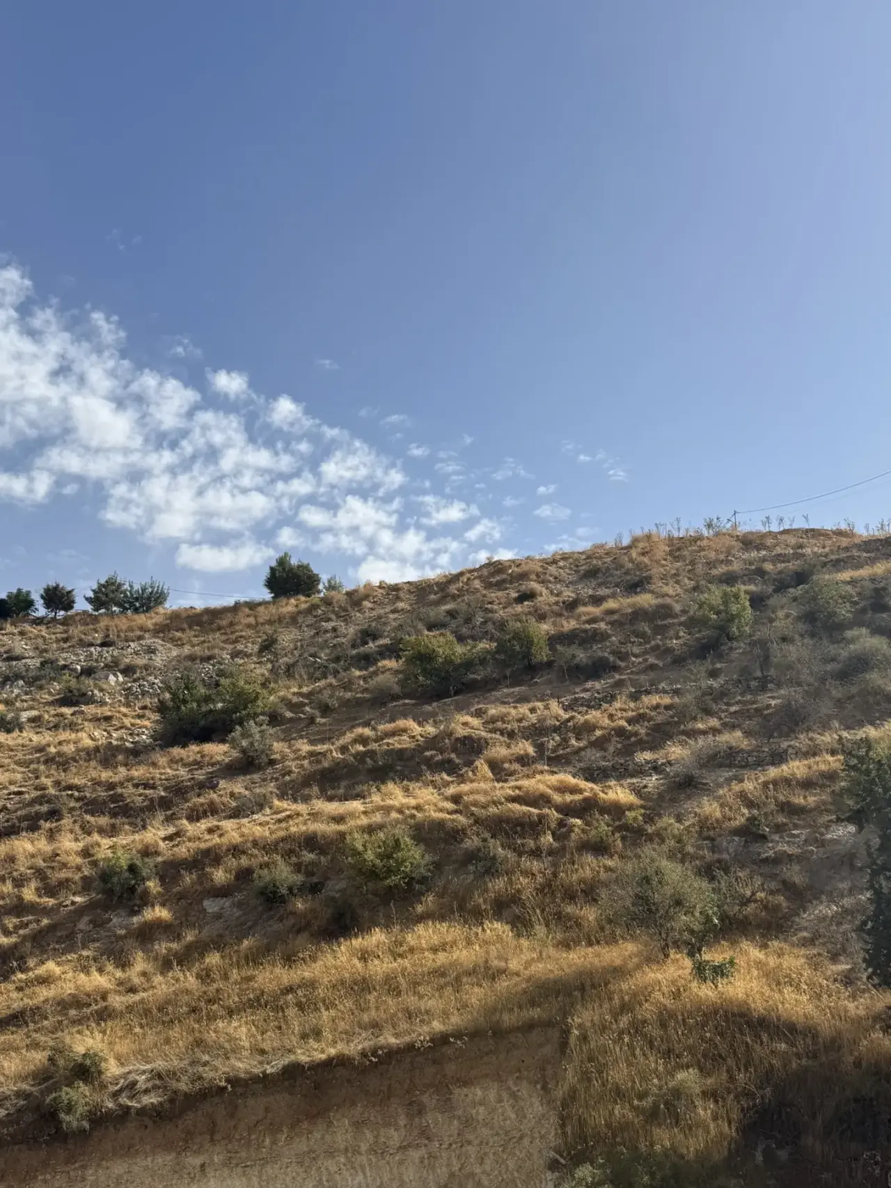 Land for sale in Wadi Al Seer – photo 5