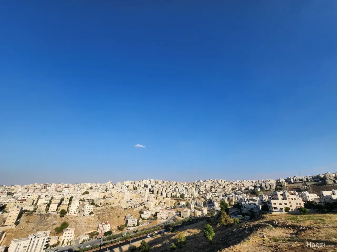 الصورة 8 من 12