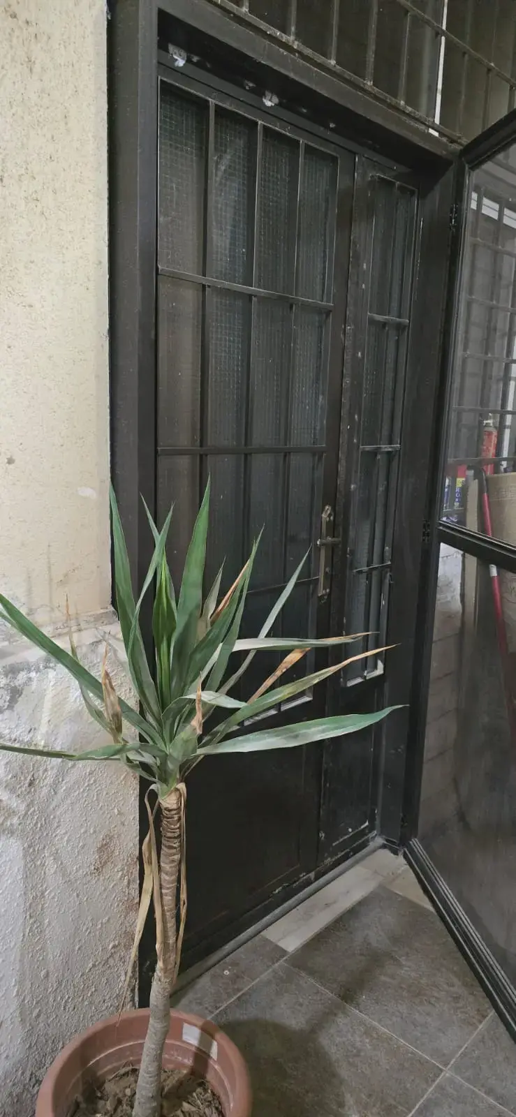 Apartment for sale in Madinet El Sharq – photo 12