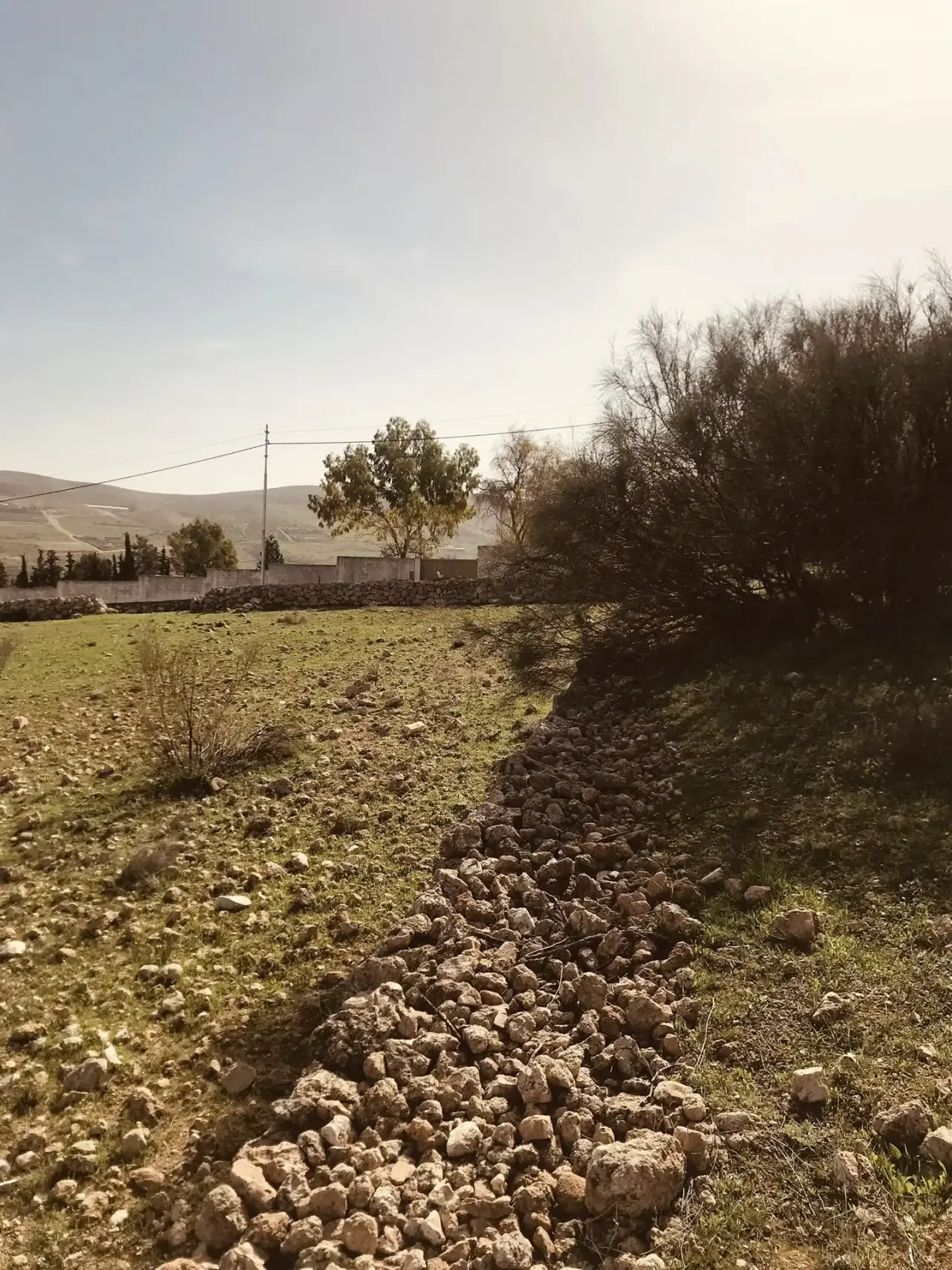 Land for sale in Birayn – photo 13