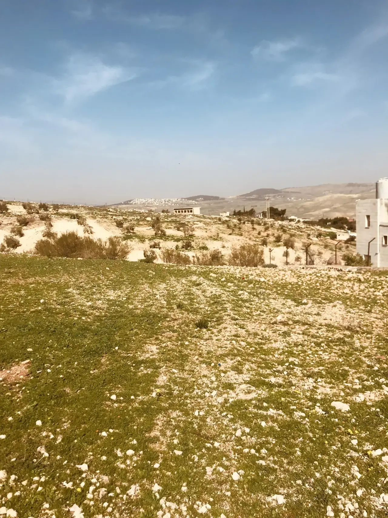 Land for sale in Birayn – photo 4