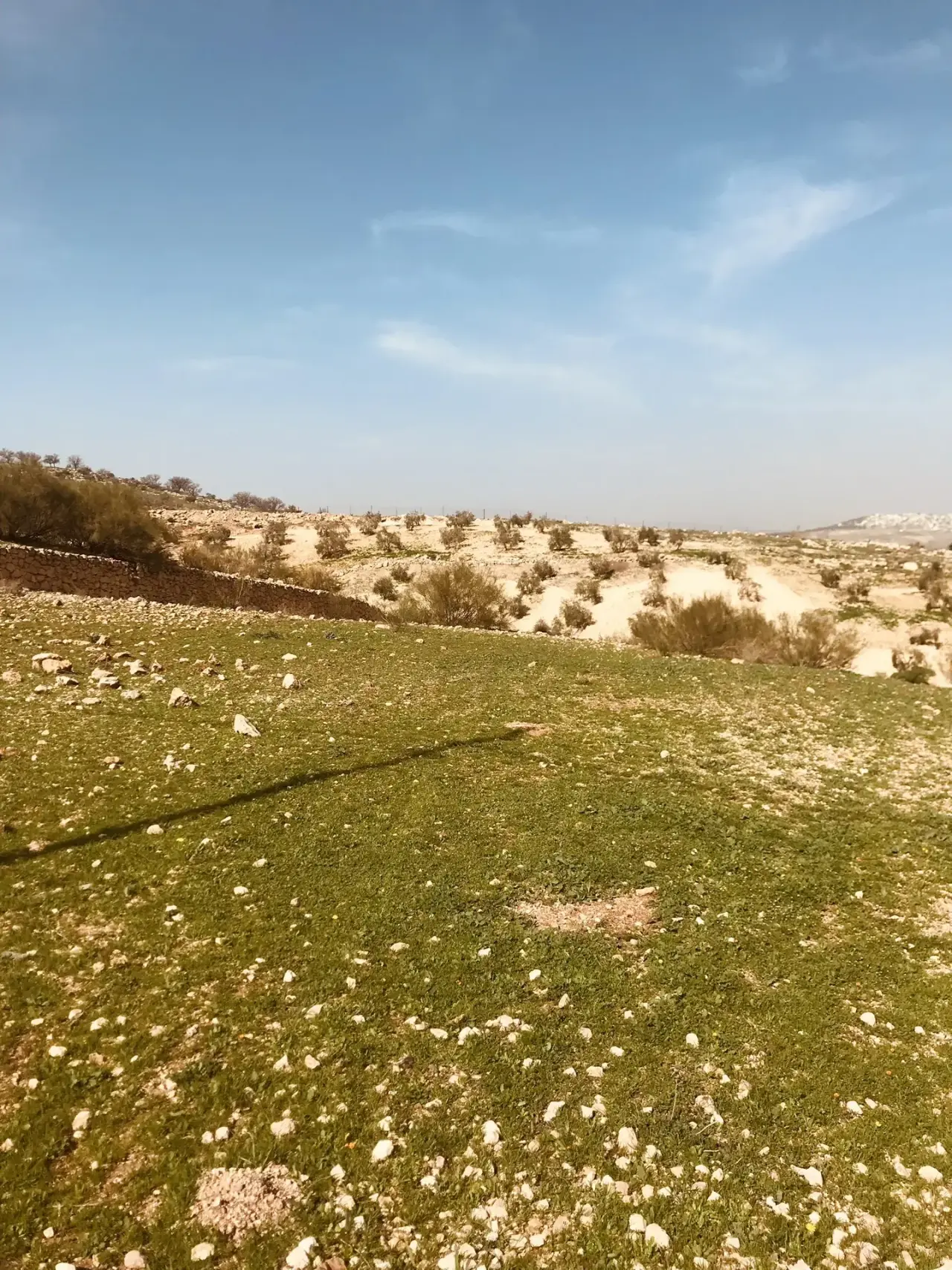 Land for sale in Birayn – photo 5