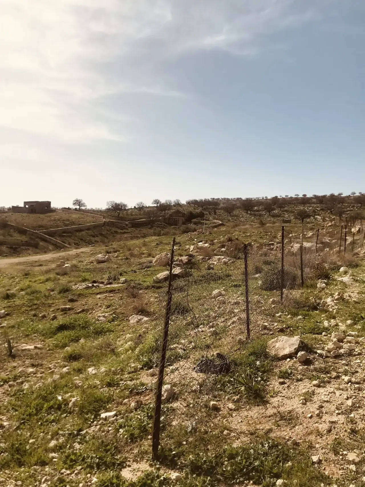 Land for sale in Birayn – photo 9