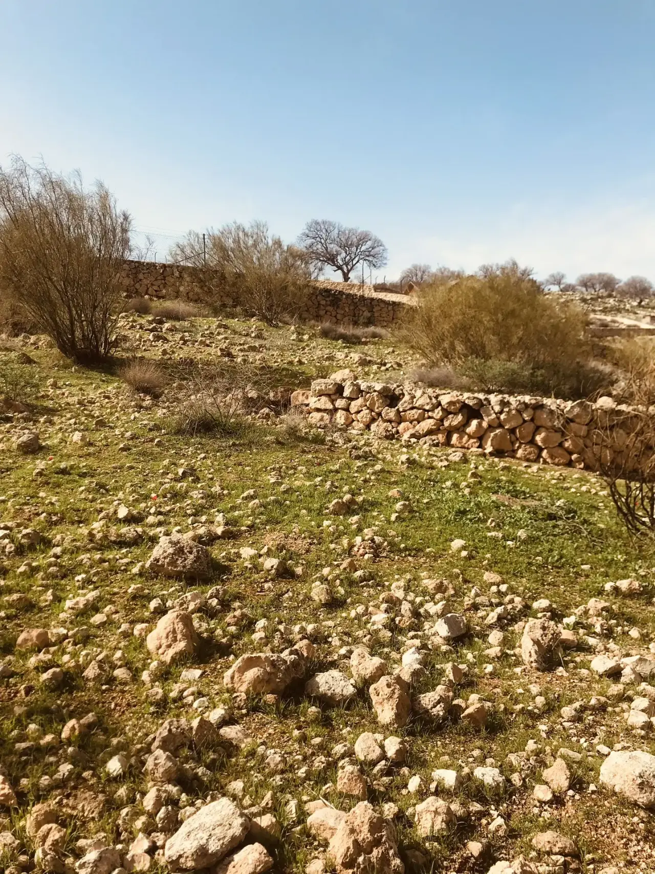 Land for sale in Birayn – photo 14