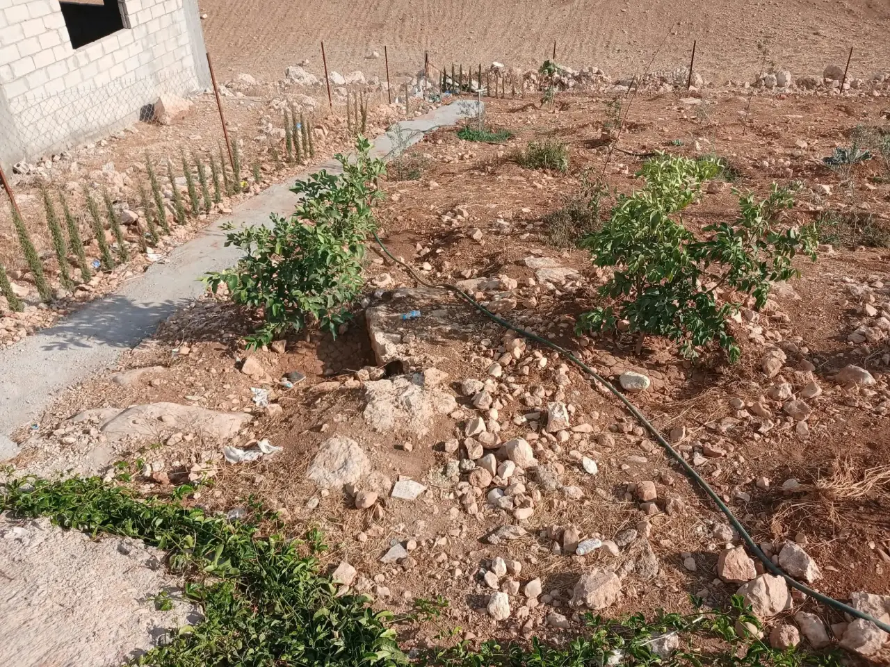أرض للبيع في Birayn – صورة 6