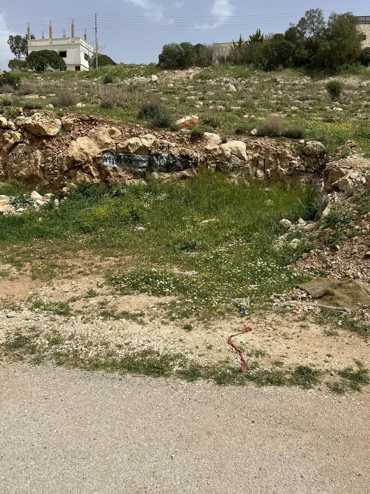 Land for sale in Birayn – photo 4