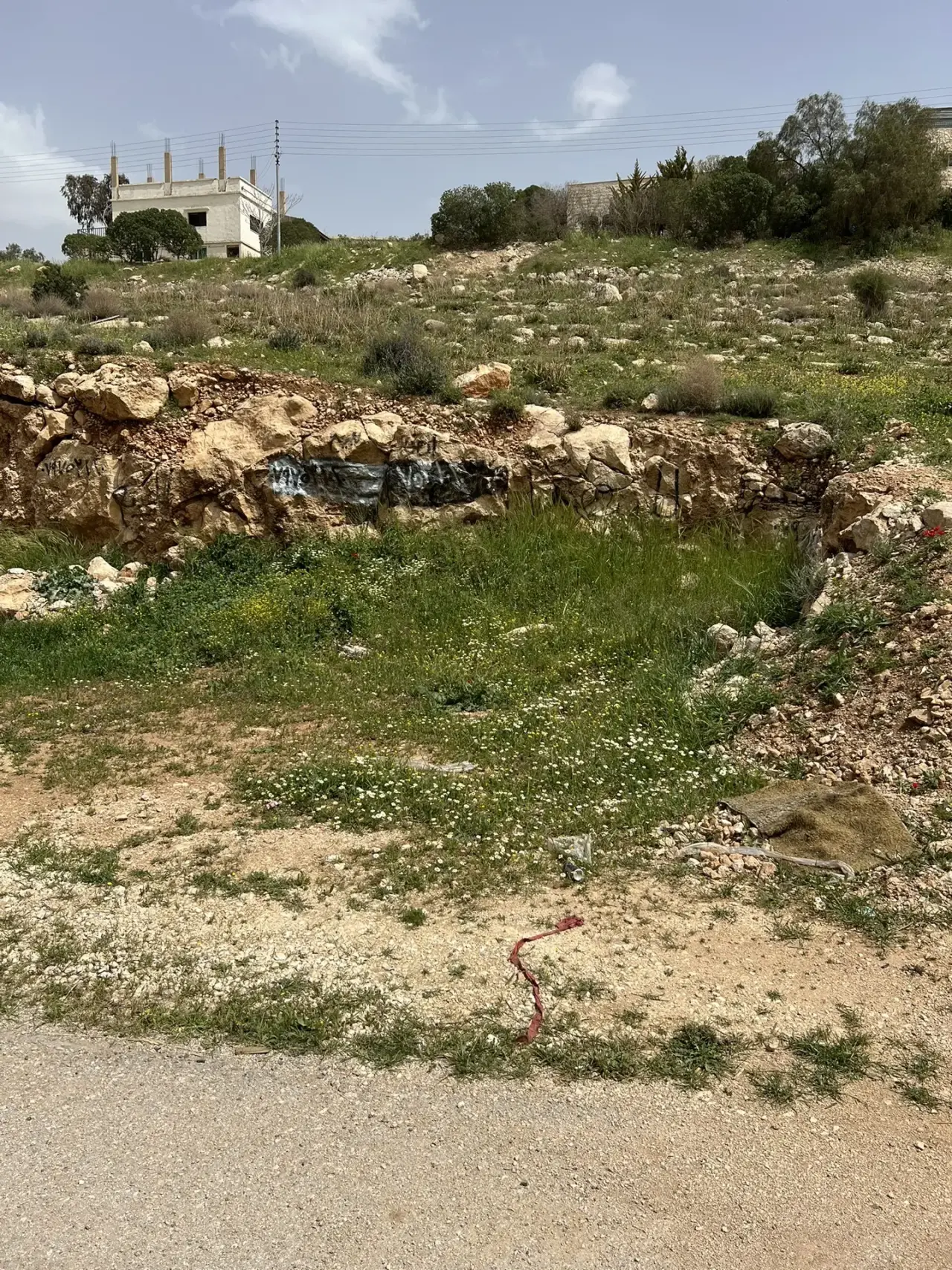 Land for sale in Birayn – photo 6