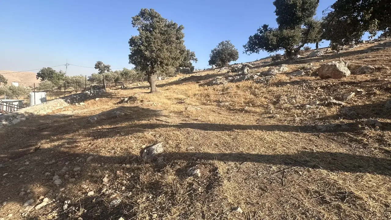 Land for sale in Sarout – photo 7