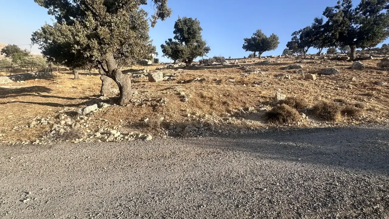 Land for sale in Sarout – photo 3