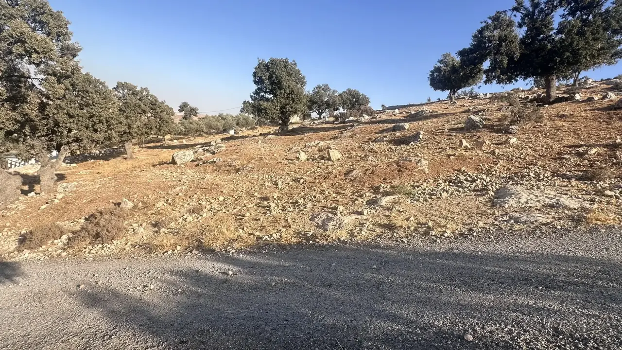 Sarout high ground: 4,483 m² plot surrounded by oak forest