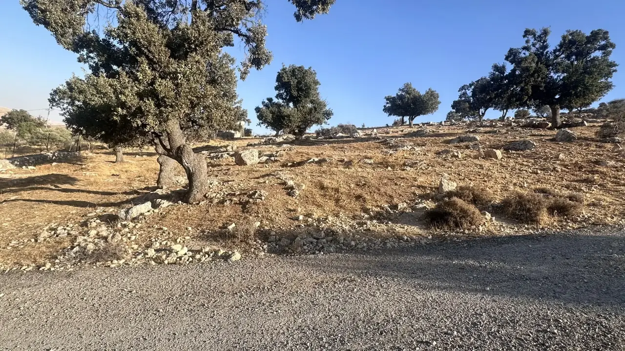 Land for sale in Sarout – photo 4