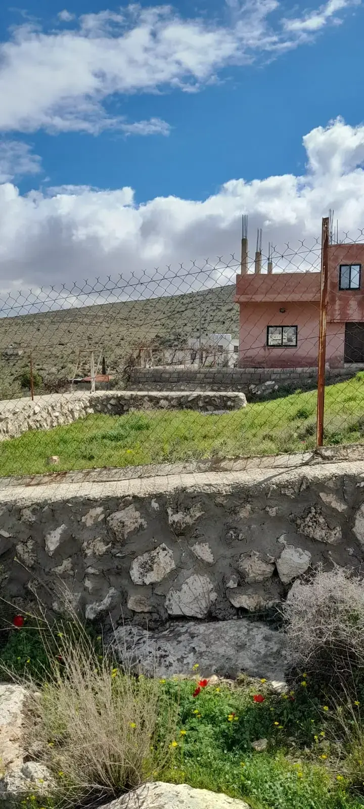 Land for sale in Sarout – photo 7