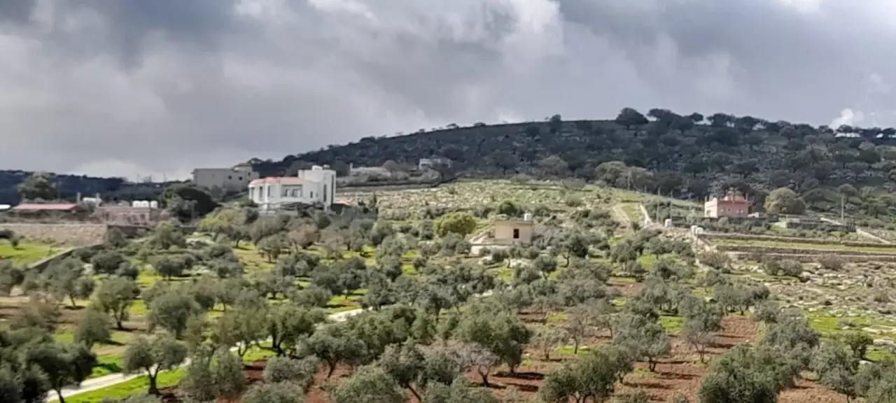 Sarout, Al Tal'a basin: 2,200 m² share in a jointly owned 27-dunum parcel