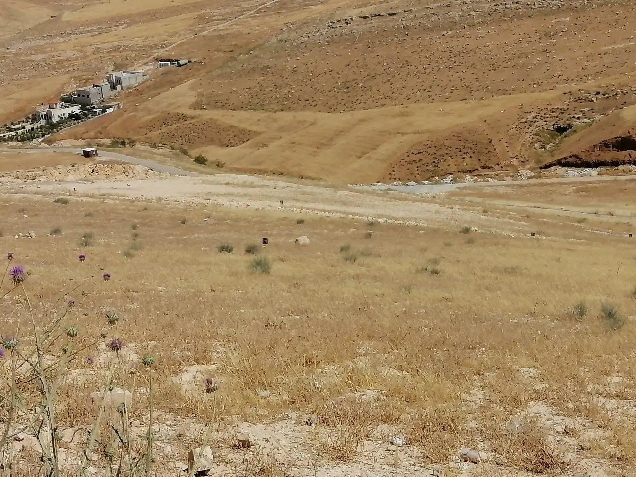 Land for sale in Graiba – photo 2