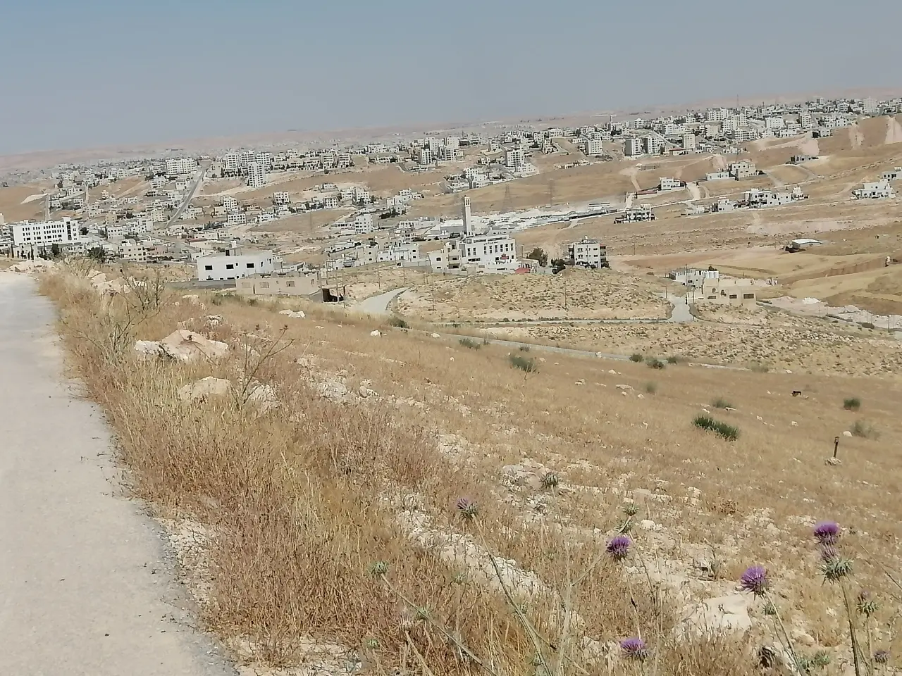 Land for sale in Graiba – photo 16
