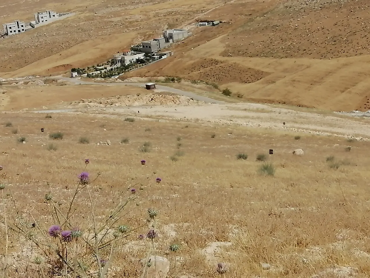 Land for sale in Graiba – photo 13