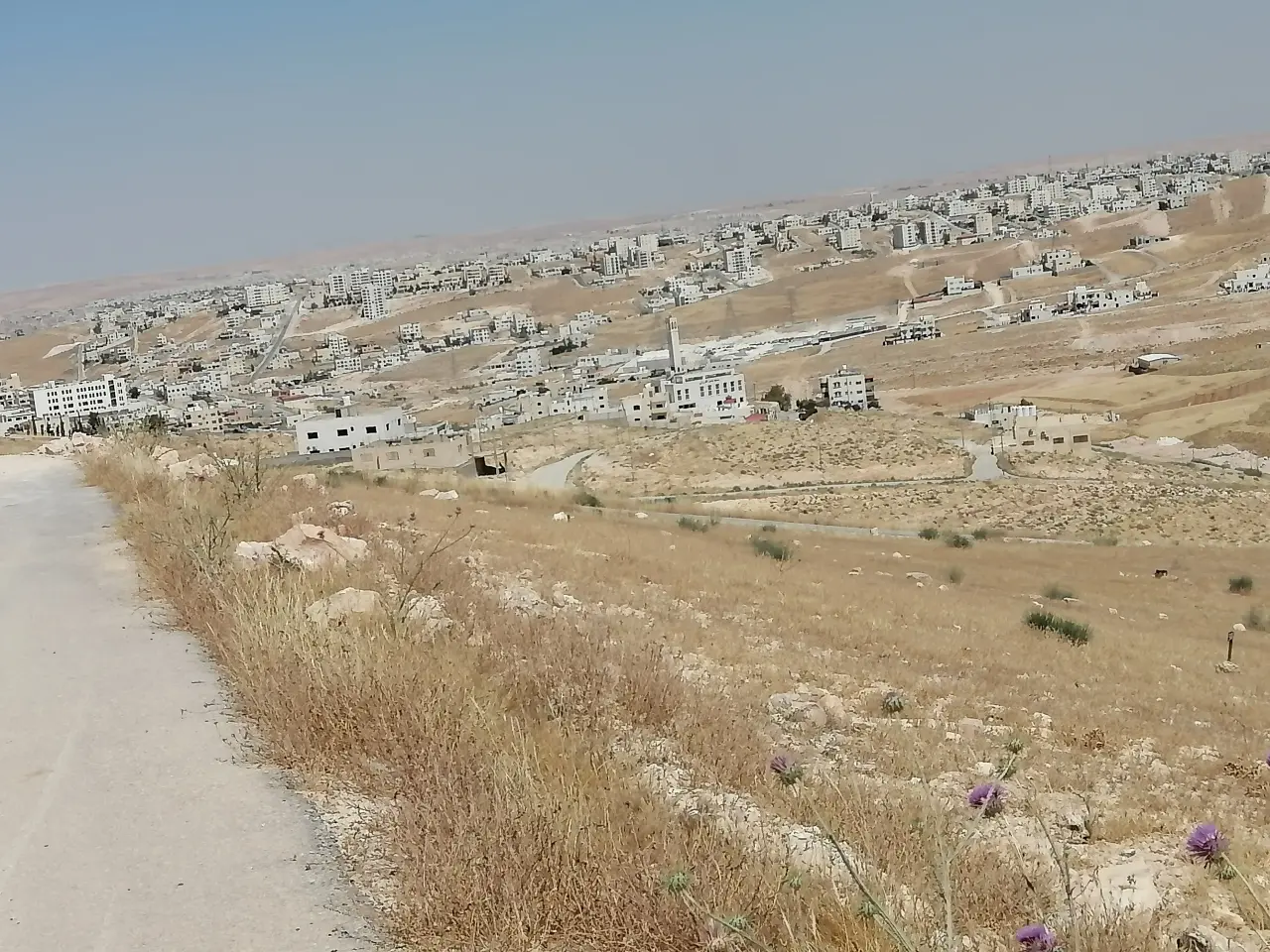 Land for sale in Graiba – photo 5