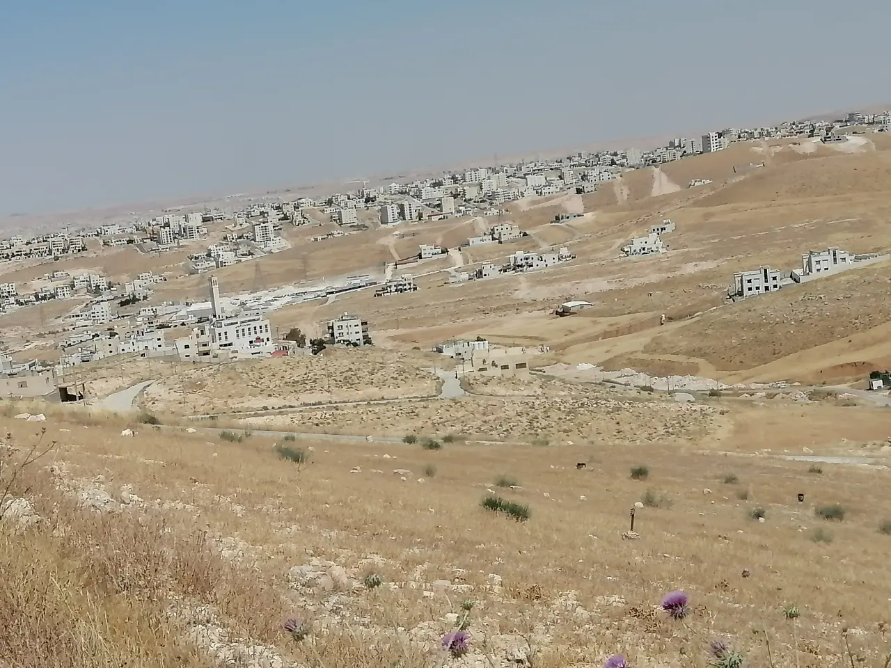 Land for sale in Graiba – photo 3