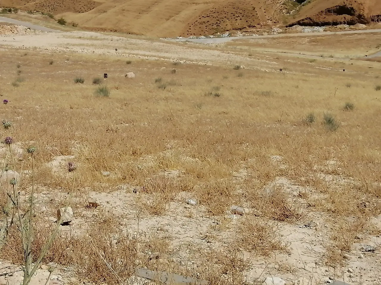 Land for sale in Graiba – photo 6