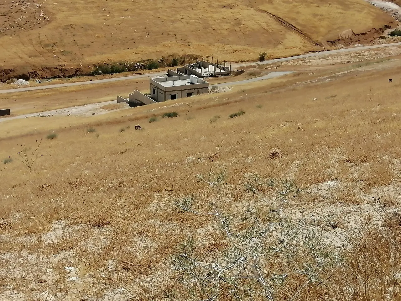 Land for sale in Graiba – photo 10