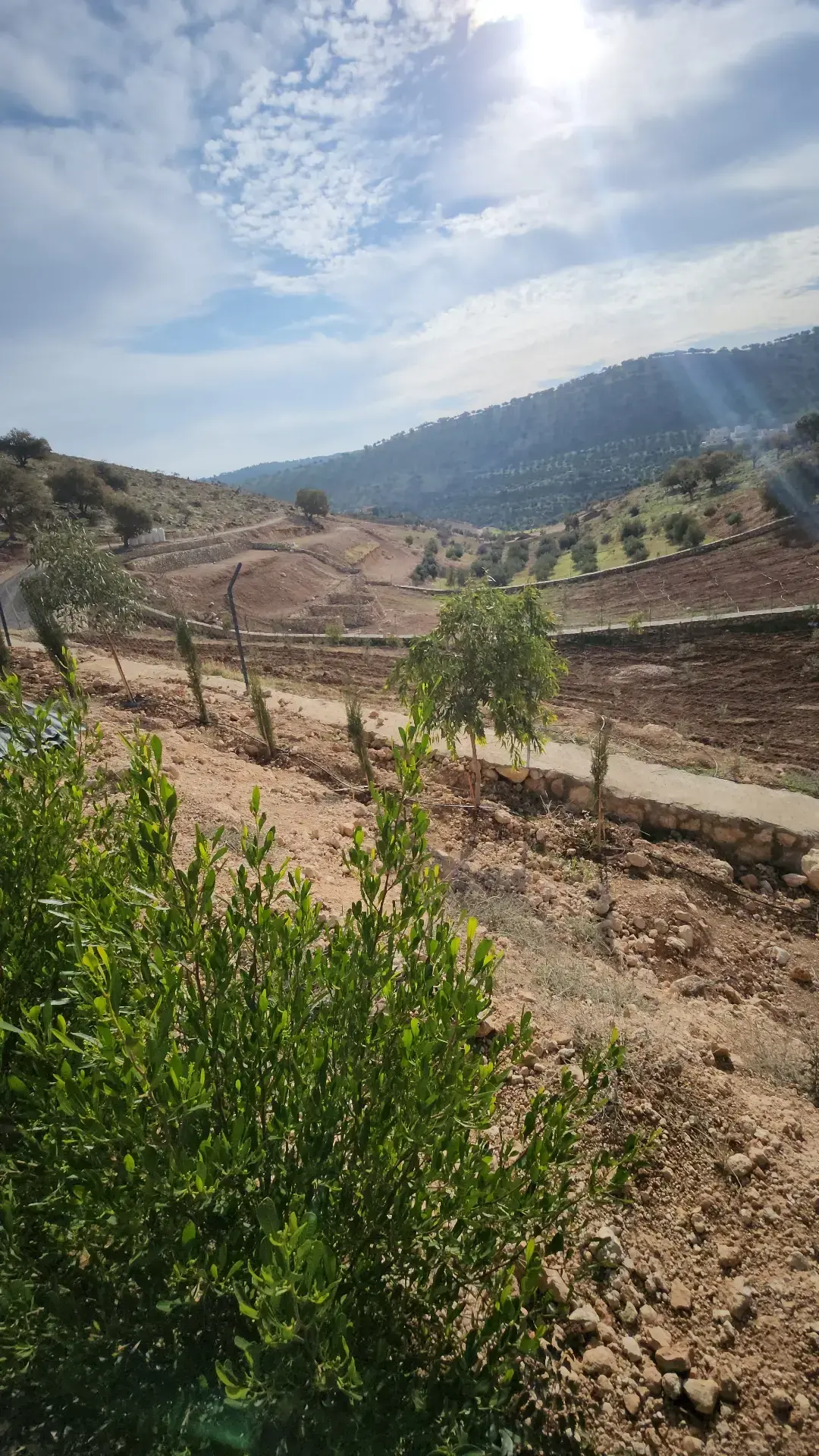 أرض للبيع في Sarout – صورة 3