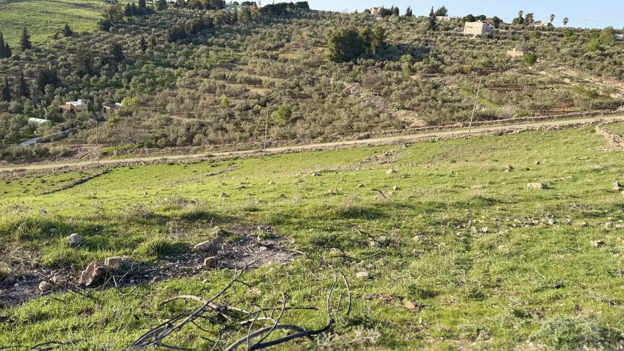 Land for sale in Al Balqa' – photo 13