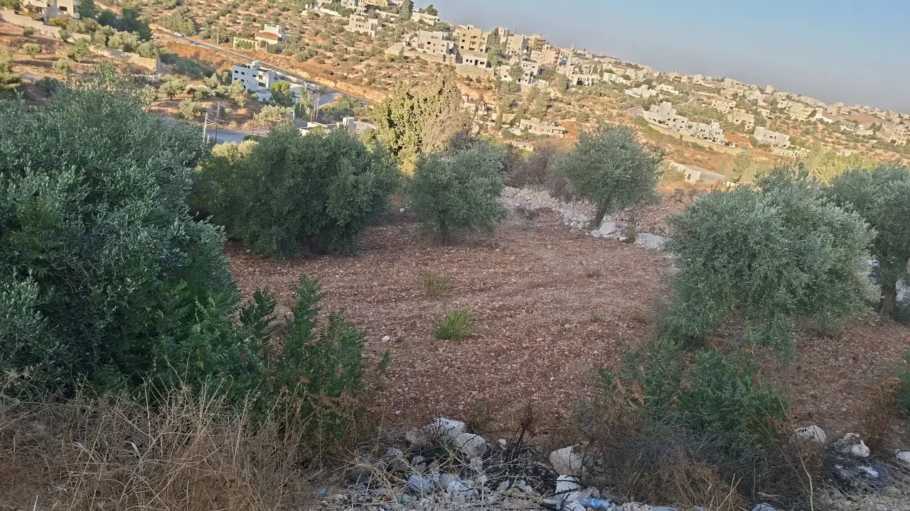 Land for sale in Al Balqa' – photo 11