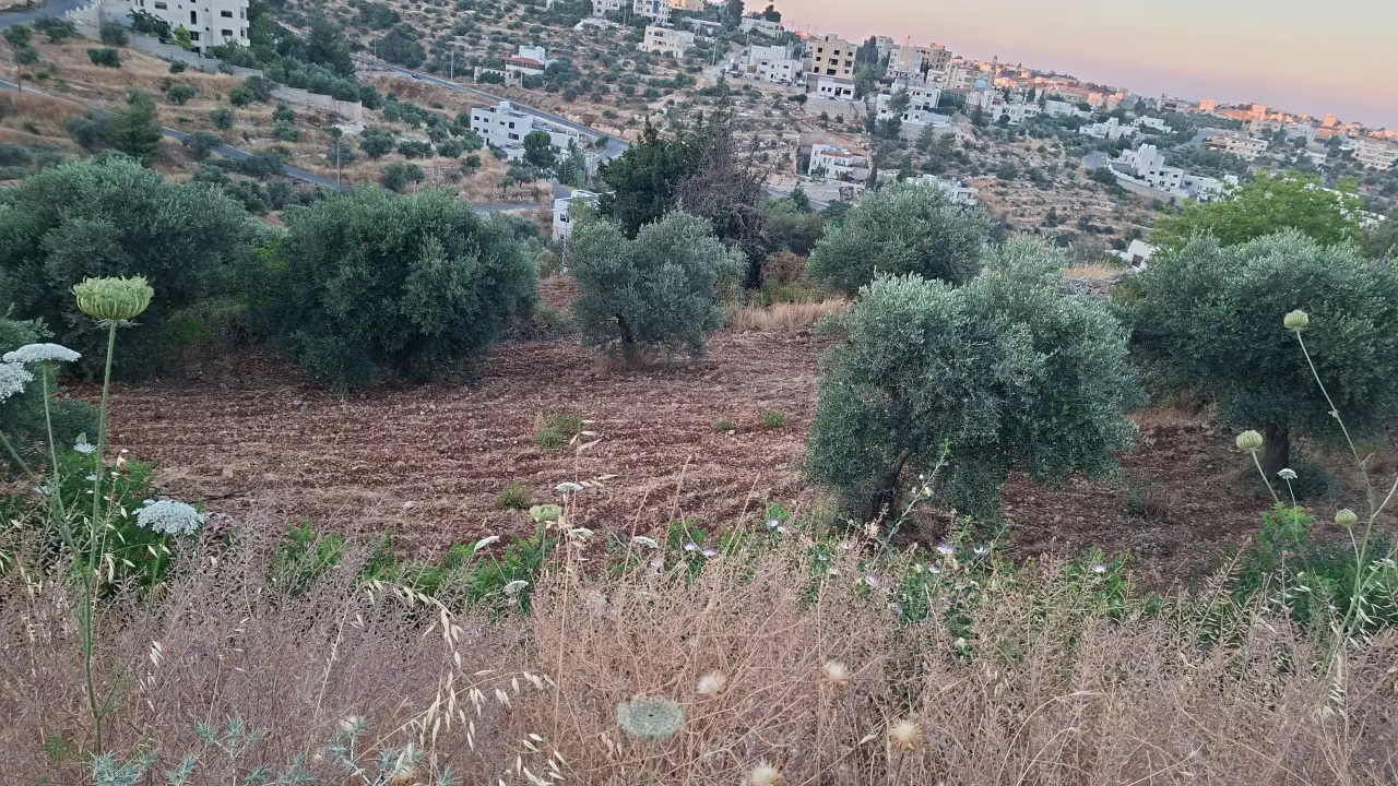 Land for sale in Al Balqa' – photo 5