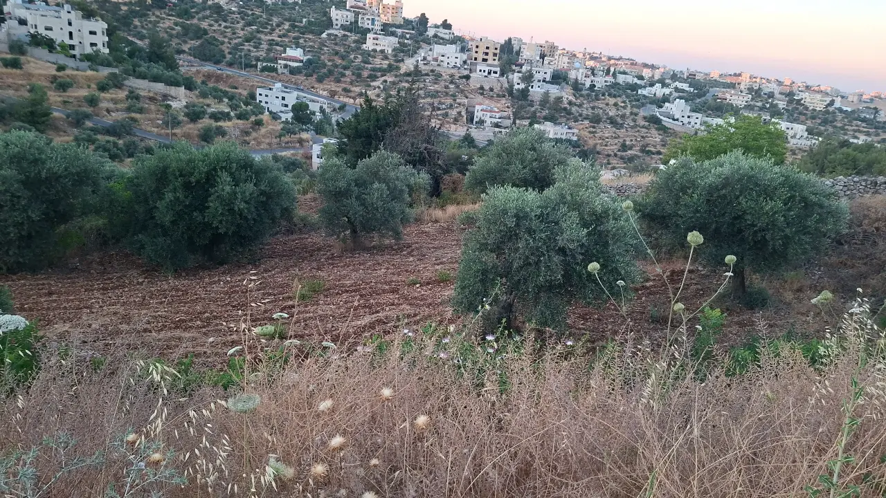 Land for sale in Al Balqa' – photo 4
