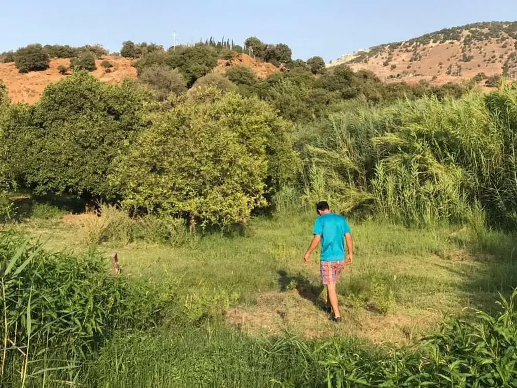 Land for sale in Al Balqa' – photo 6