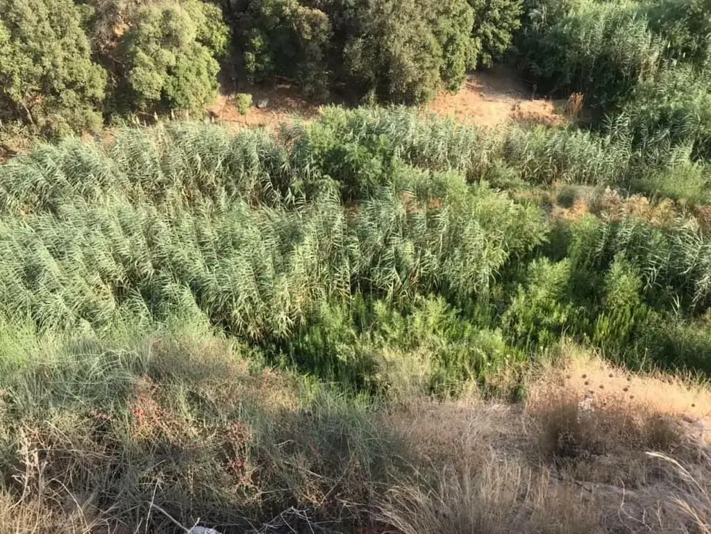Land for sale in Al Balqa' – photo 4